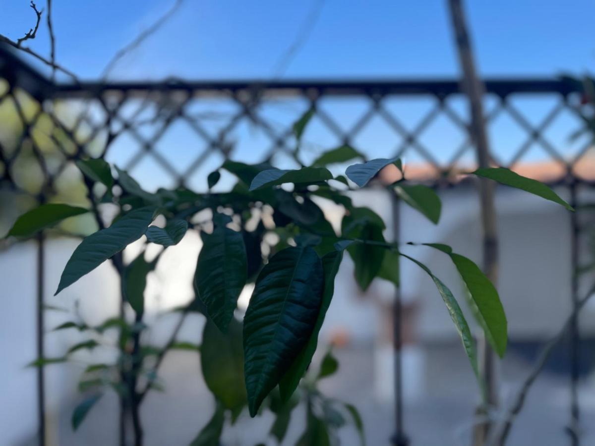 Comoda Habitacion A 10 Min Del Centro Historico De Querétaro Kültér fotó